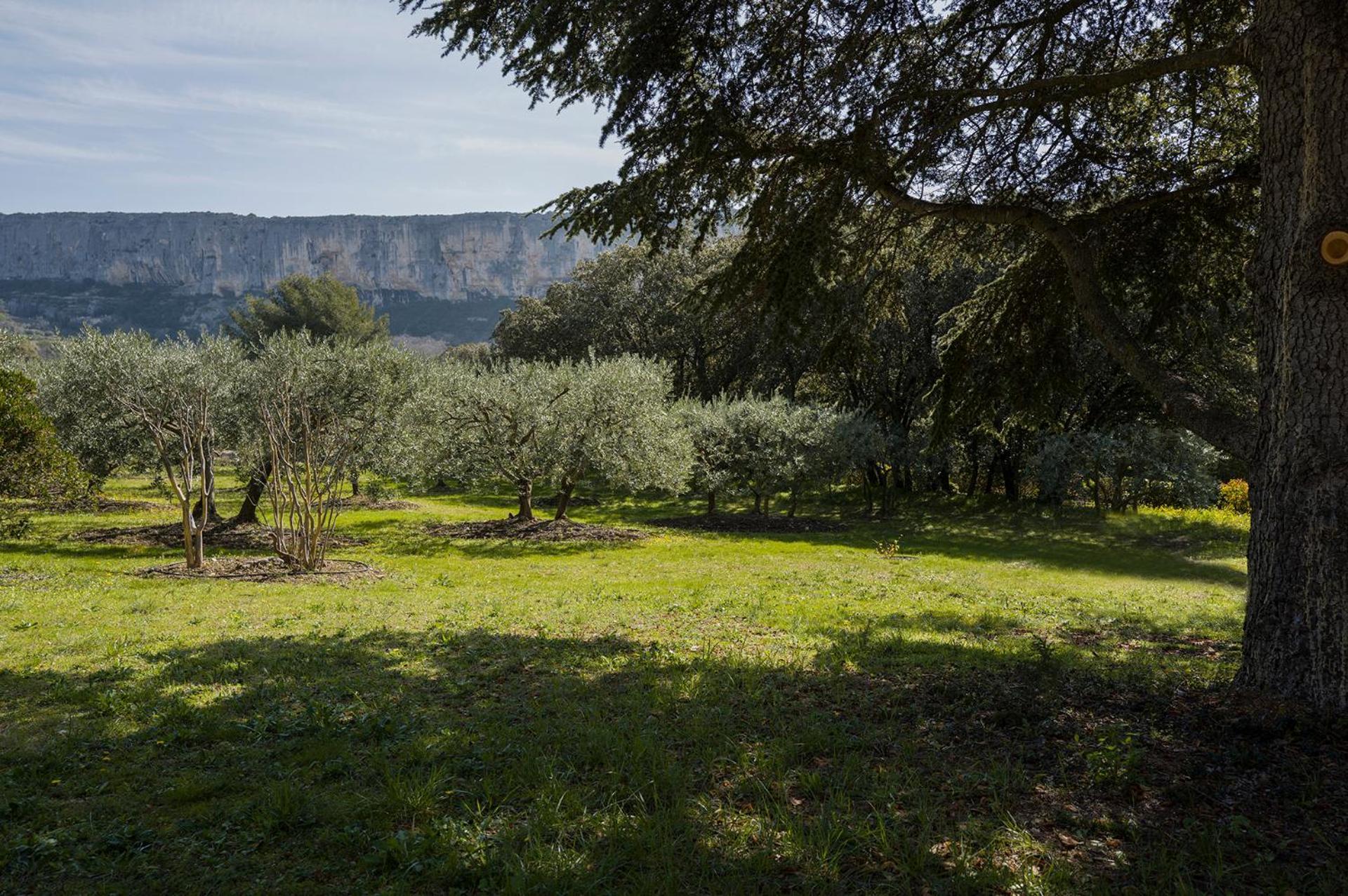Les Cistes Villa Lioux ภายนอก รูปภาพ